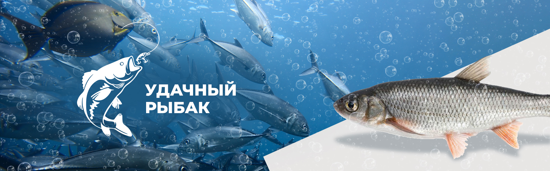 кейс «удачный рыбак»